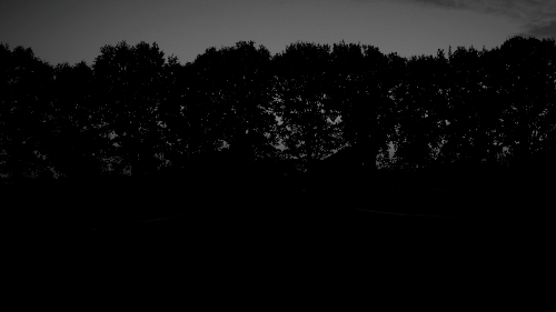 noir.