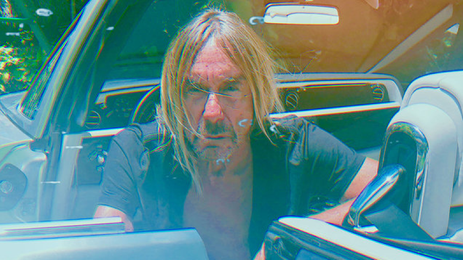 iggy pop