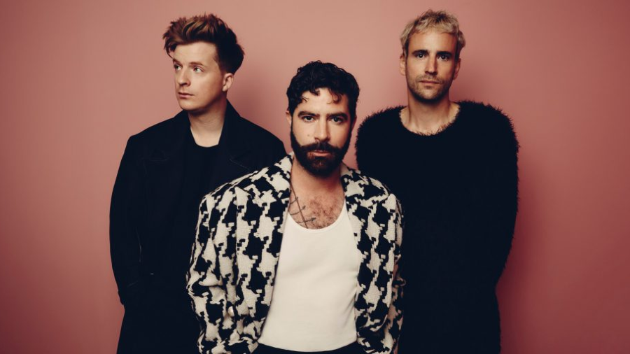 foals