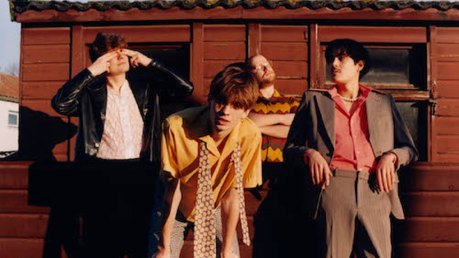 the vices