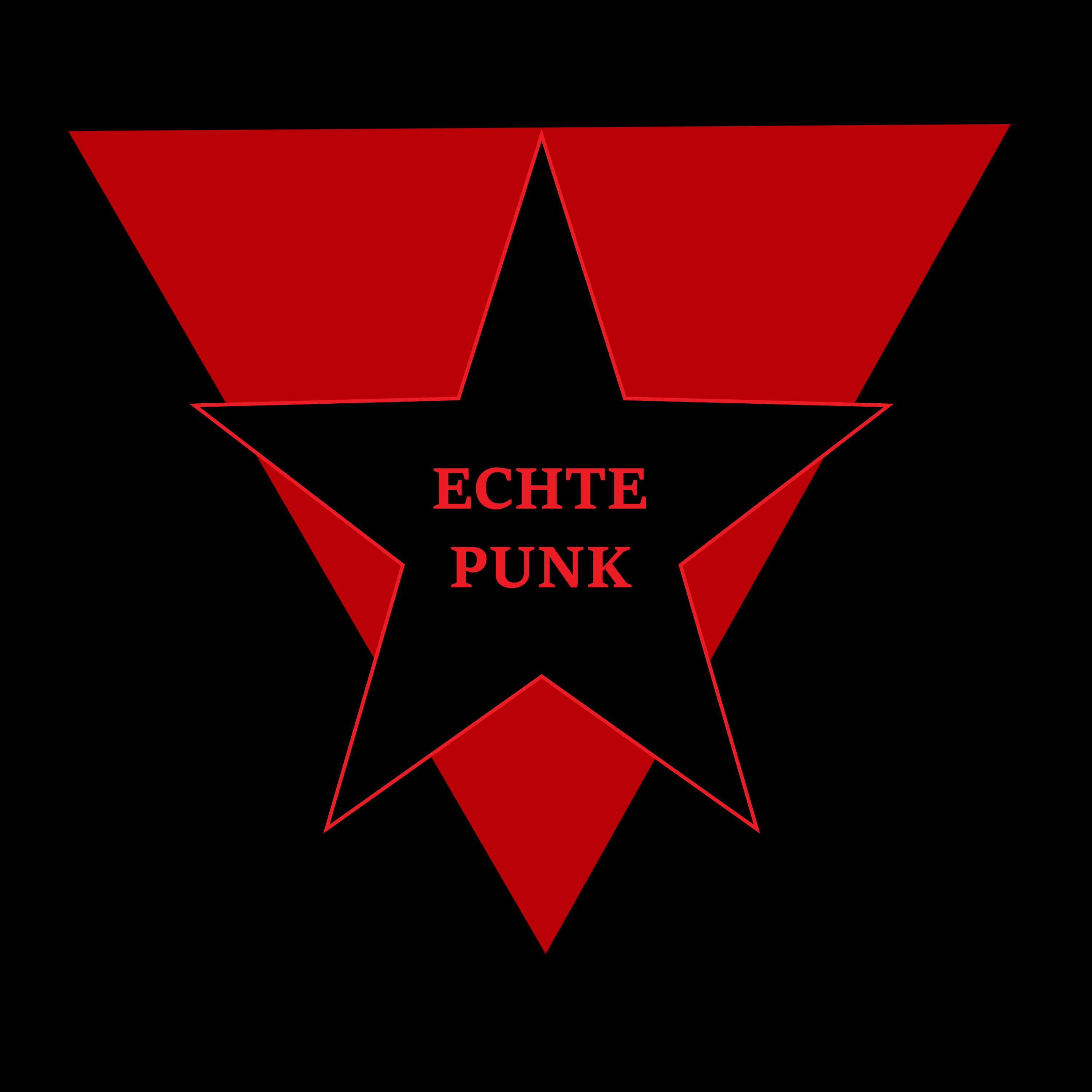 Echte Punk