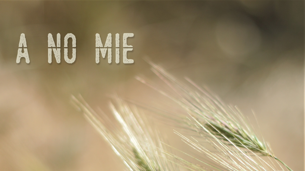 a no mie