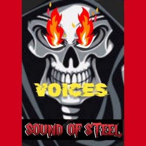 VOICES - Radio Edit