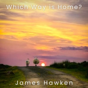 Which Way is Home?
