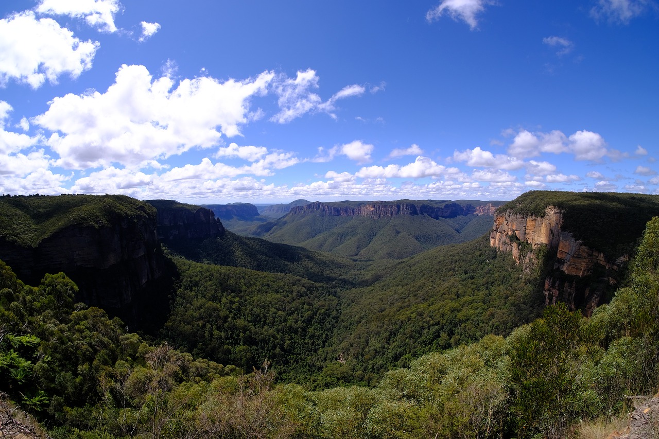 Blue Mountains