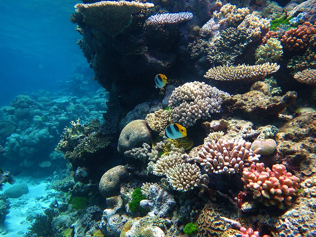 Great Barrier Reef travel destination