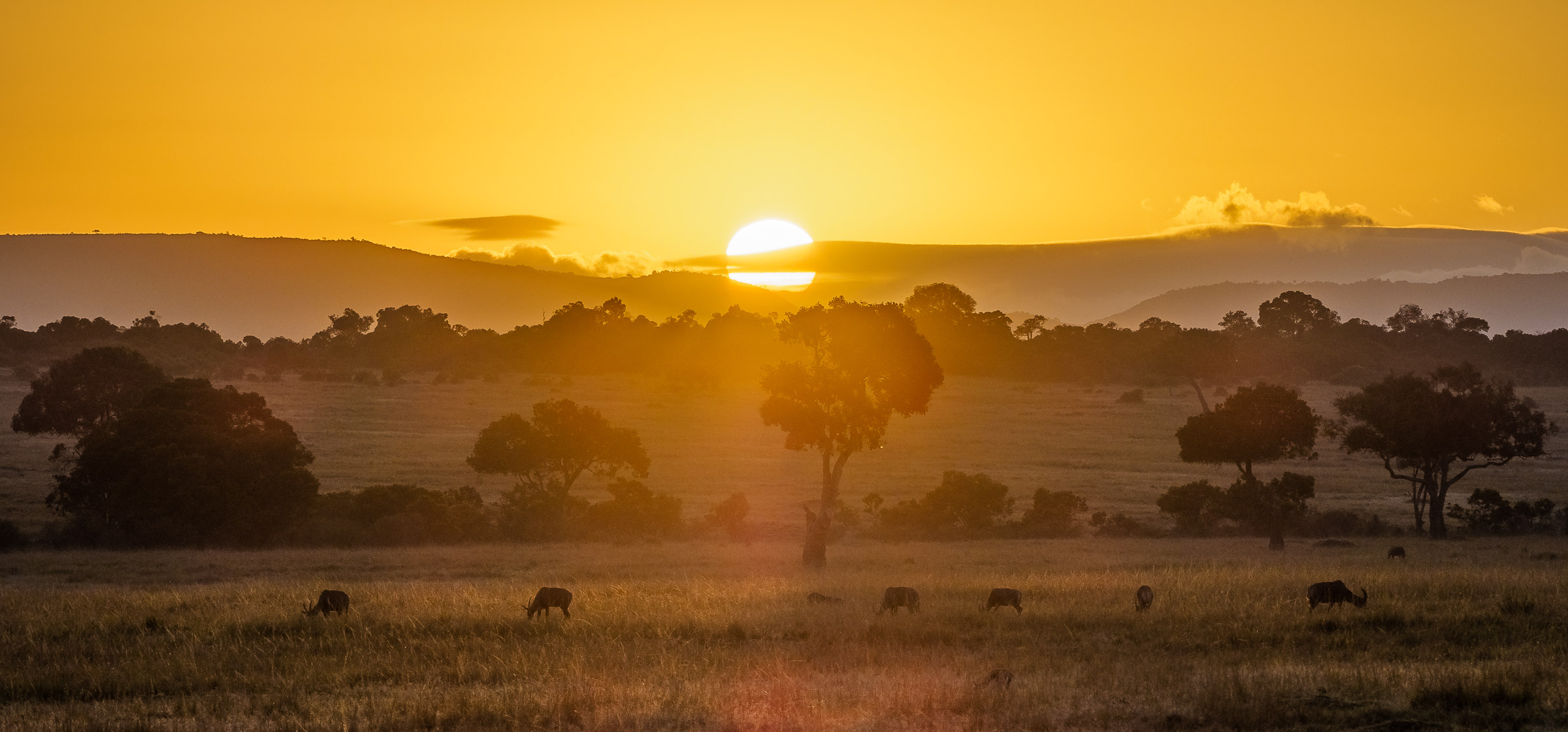 Masai Mara National Reserve