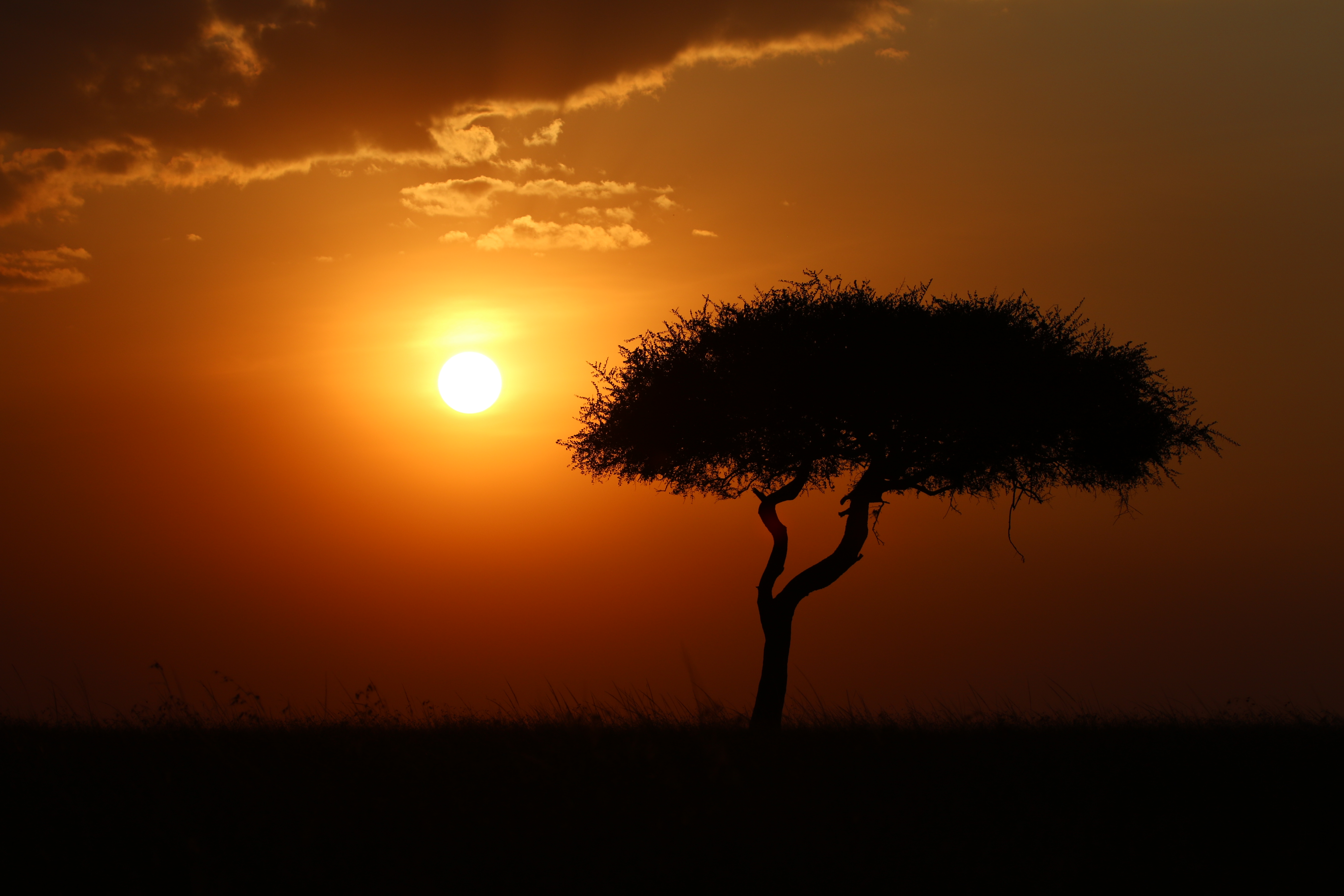 3 Days, 2 Nights Masai Mara Safari