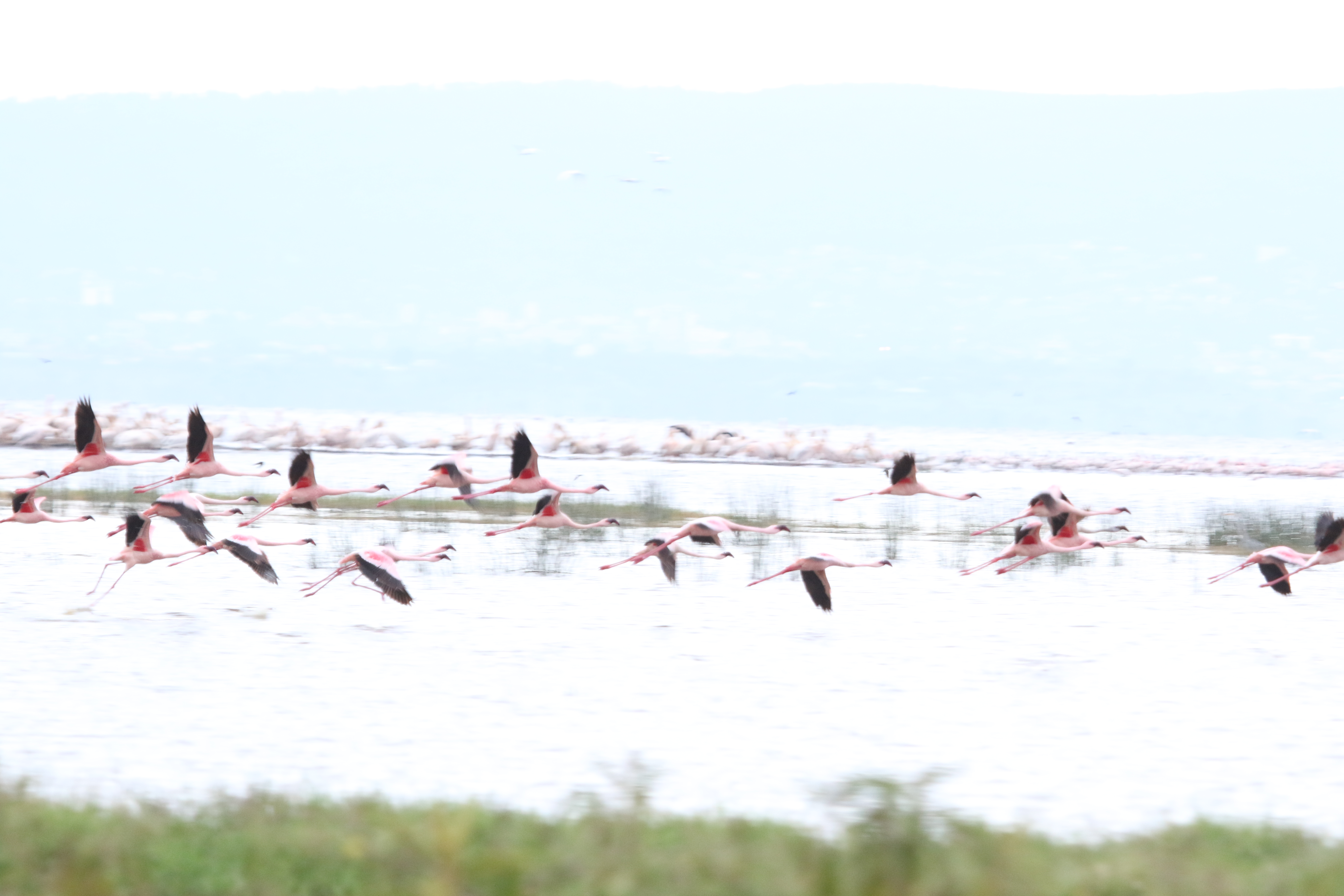 Unforgettable 4 Night / 5 Days Safari Experience