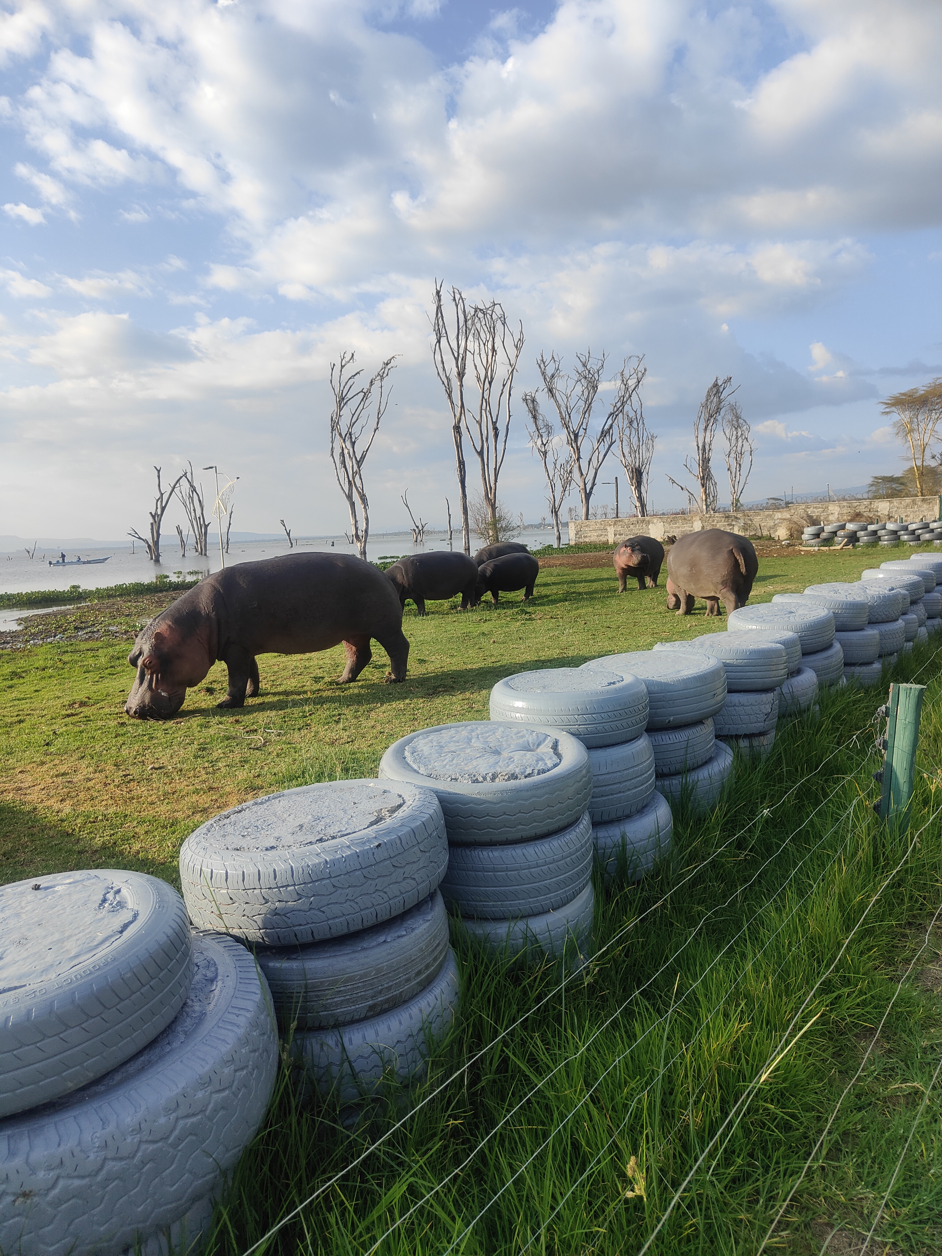 Escape Winter: 21 Days of Kenya