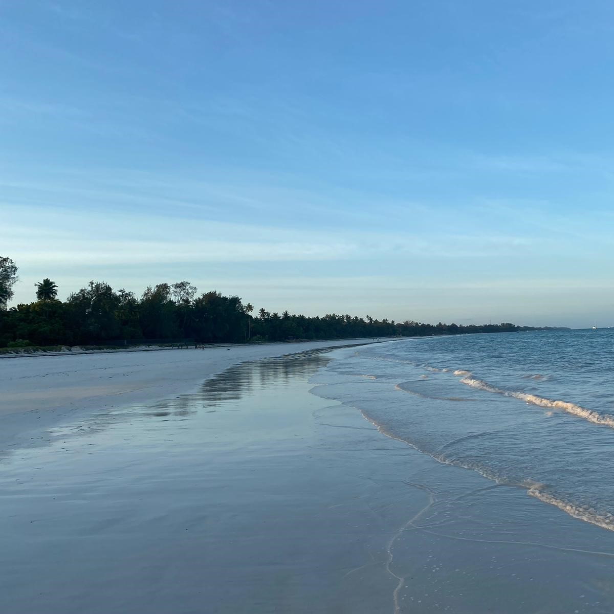 Escape to Paradise: 5 Days of Sun, Sand & Serenity in Diani Beach