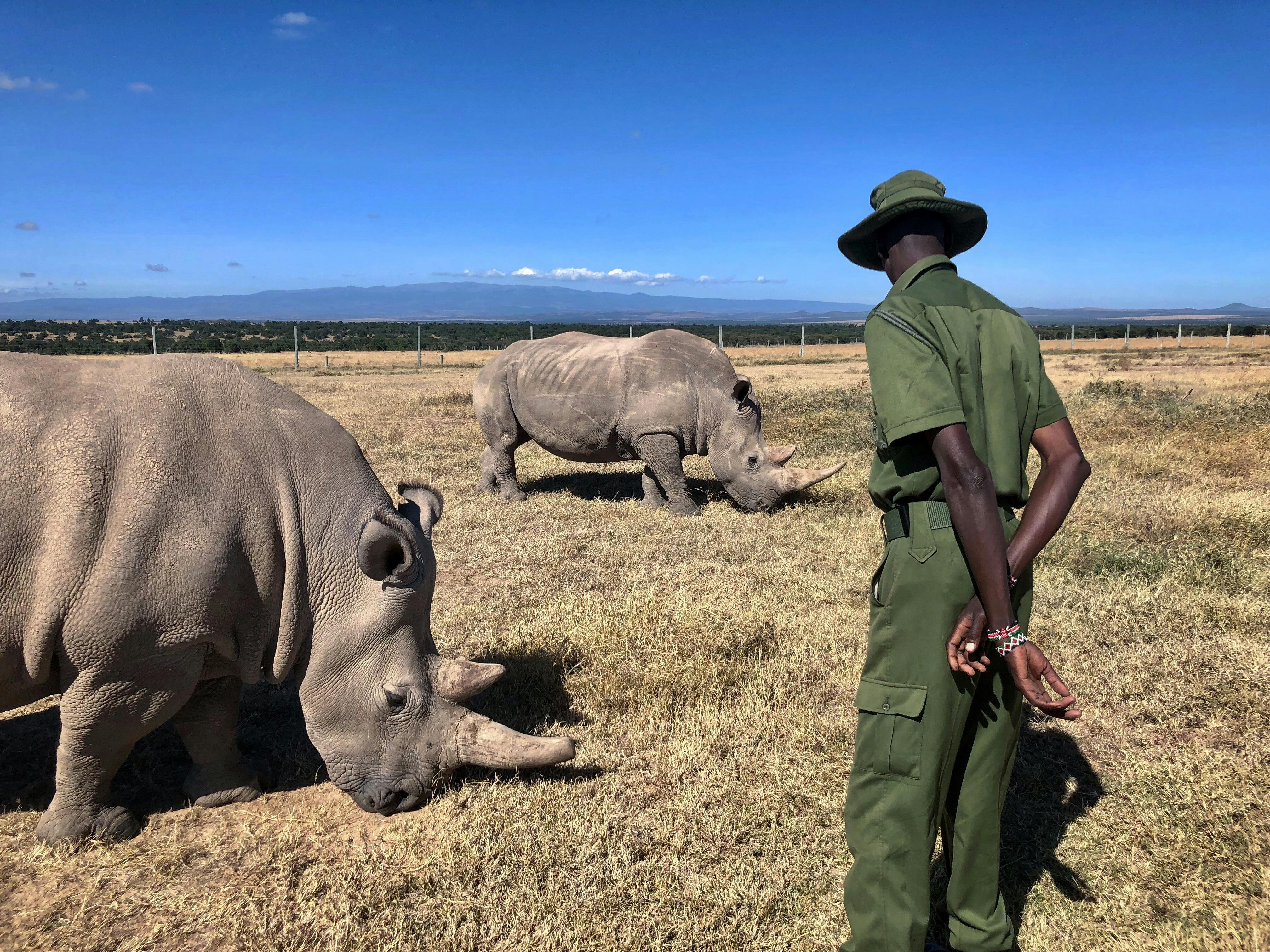 6 Nights/7 Days Safari Adventure