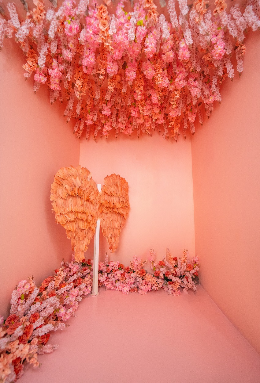 A visual representation of BloomBooth