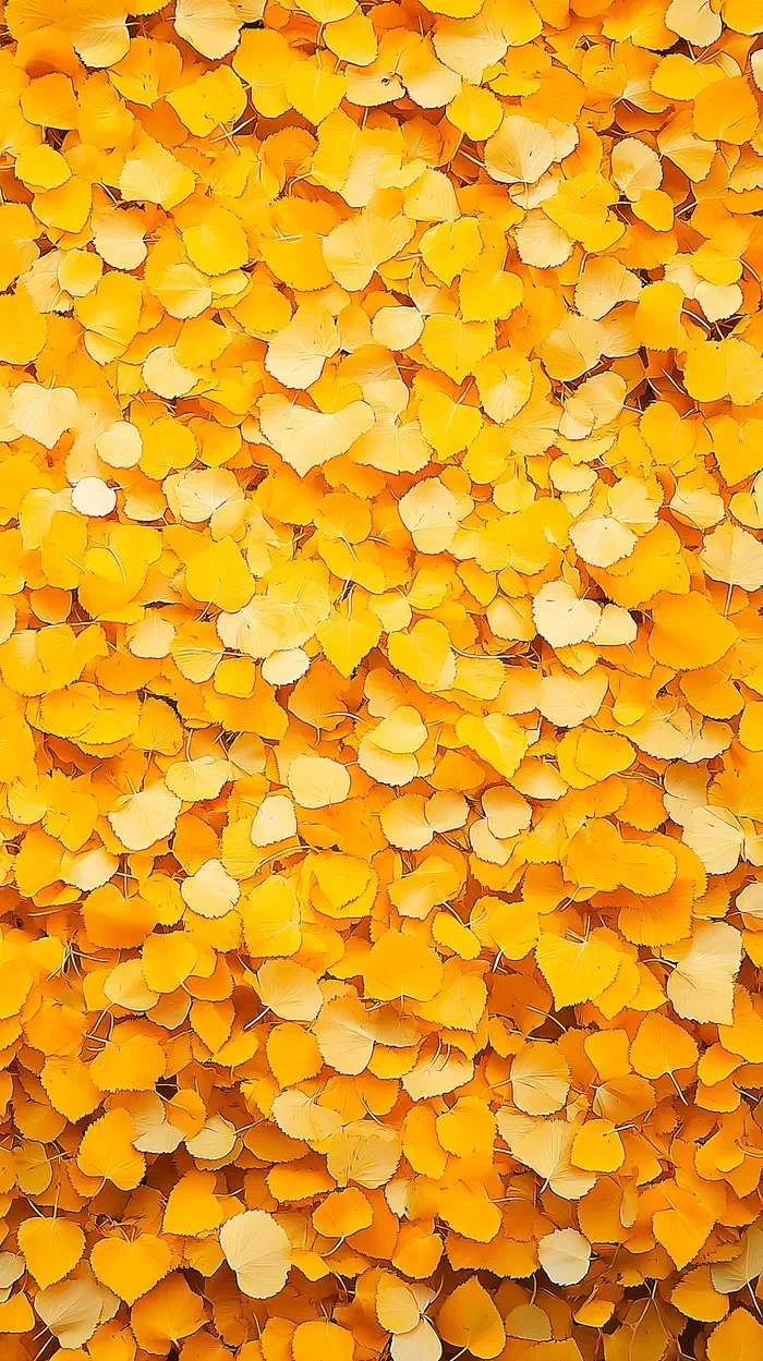 Yellow autumn fallen leaves