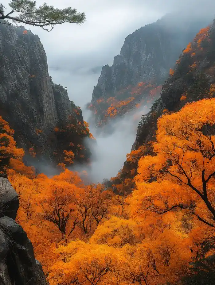 Misty mountain valley