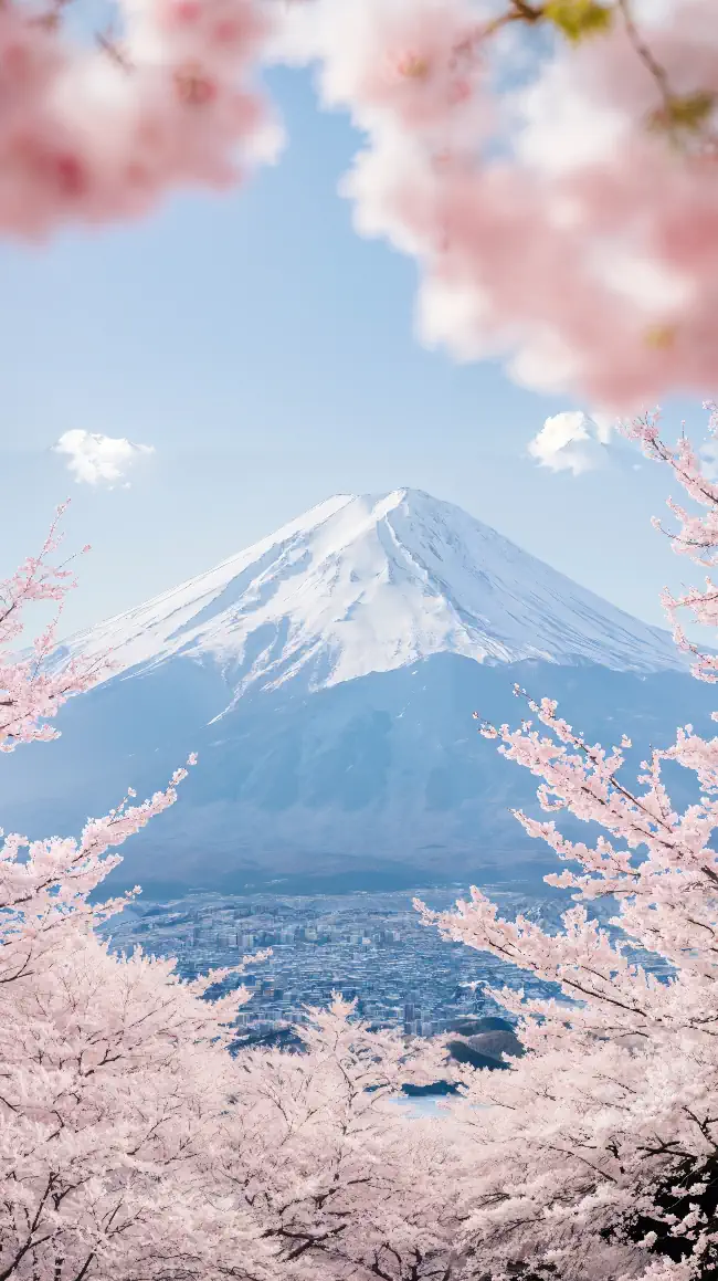 Beautifully captures Mount Fuji