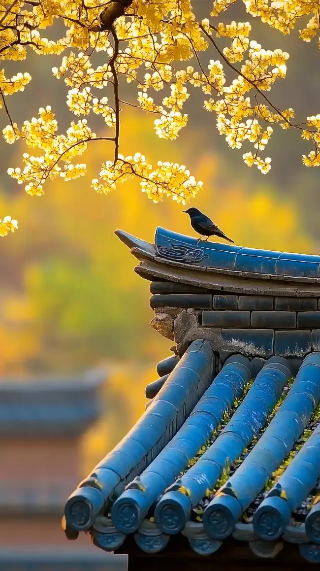 Blackbird perched on a roof