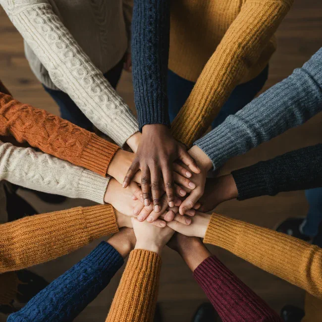 Unity in Diversity