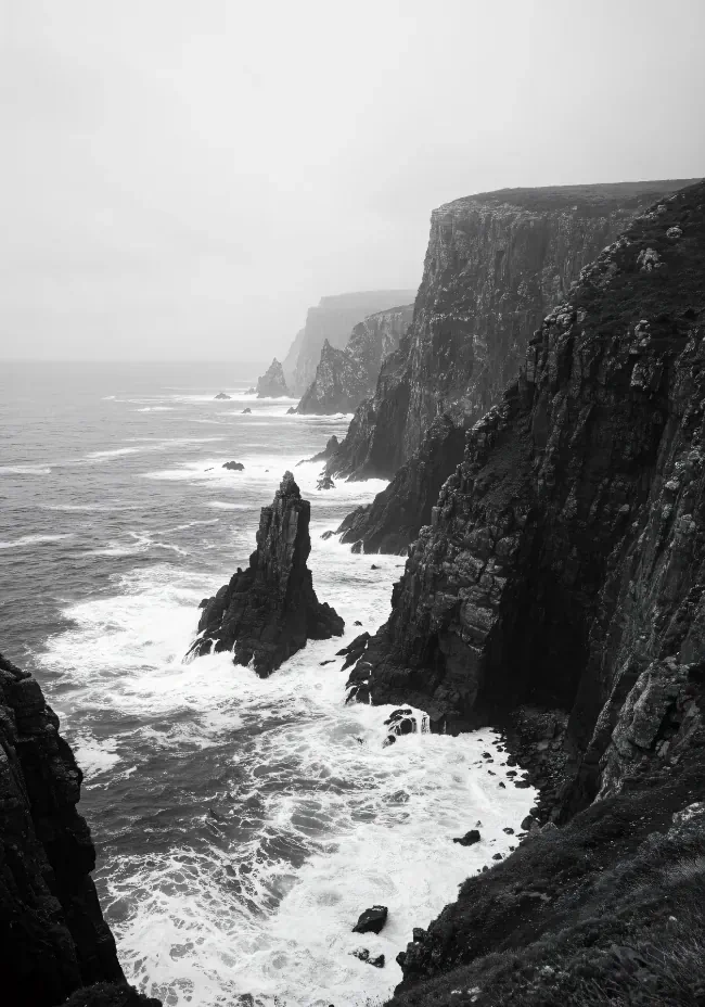 Wild coast