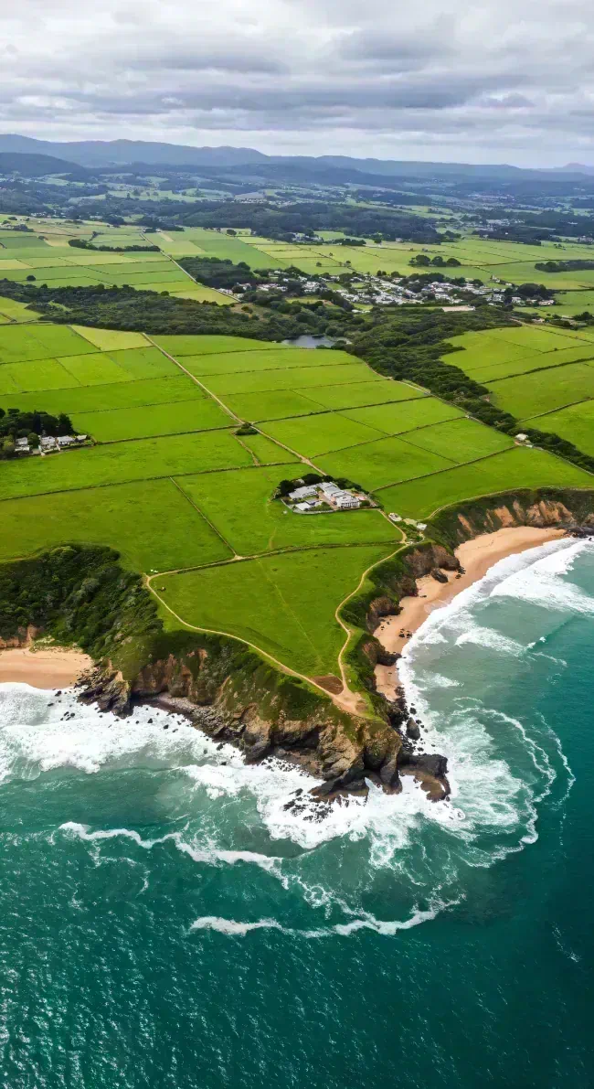Green fields on the coast