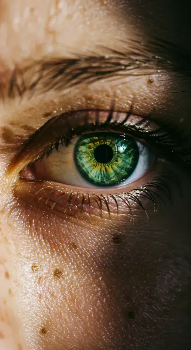 Green Eye Human Detail