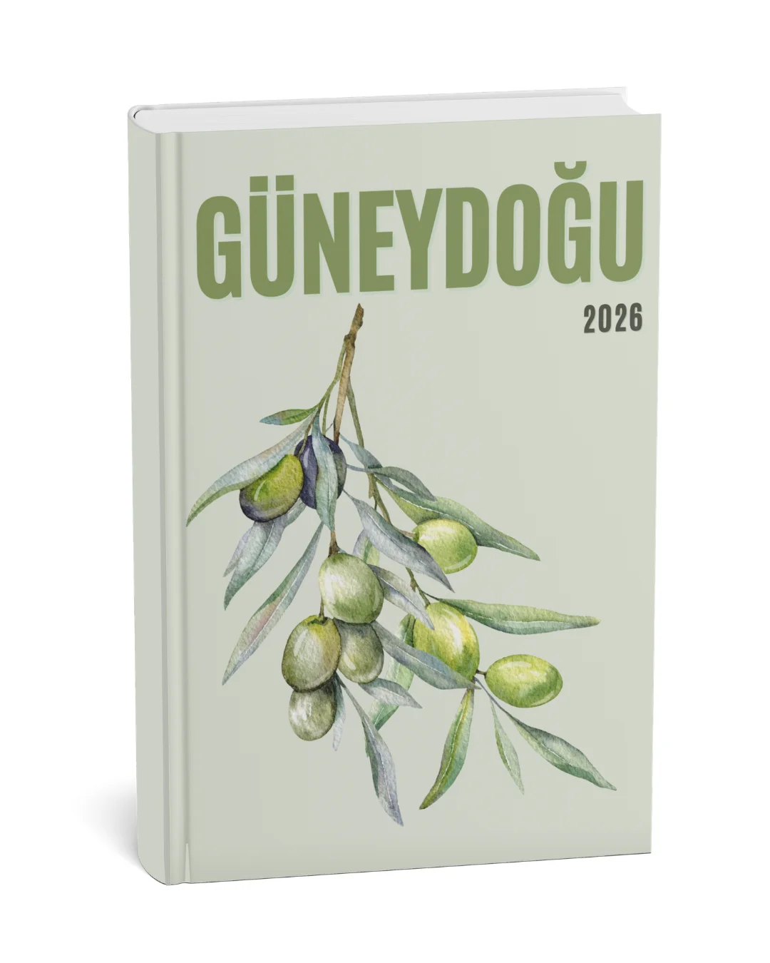 Güneydoğu 1 kapak teması