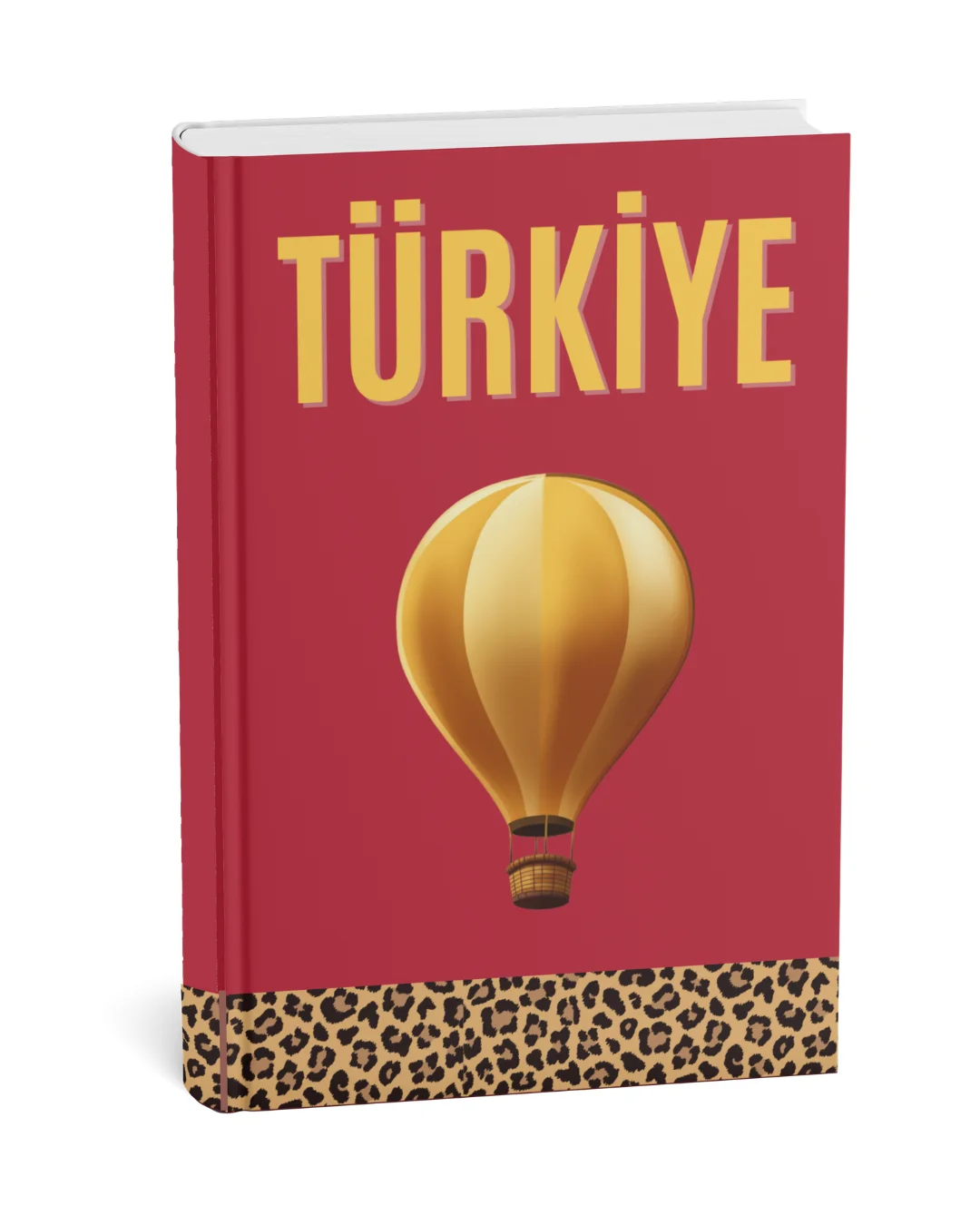 Türkiye 2 kapak teması
