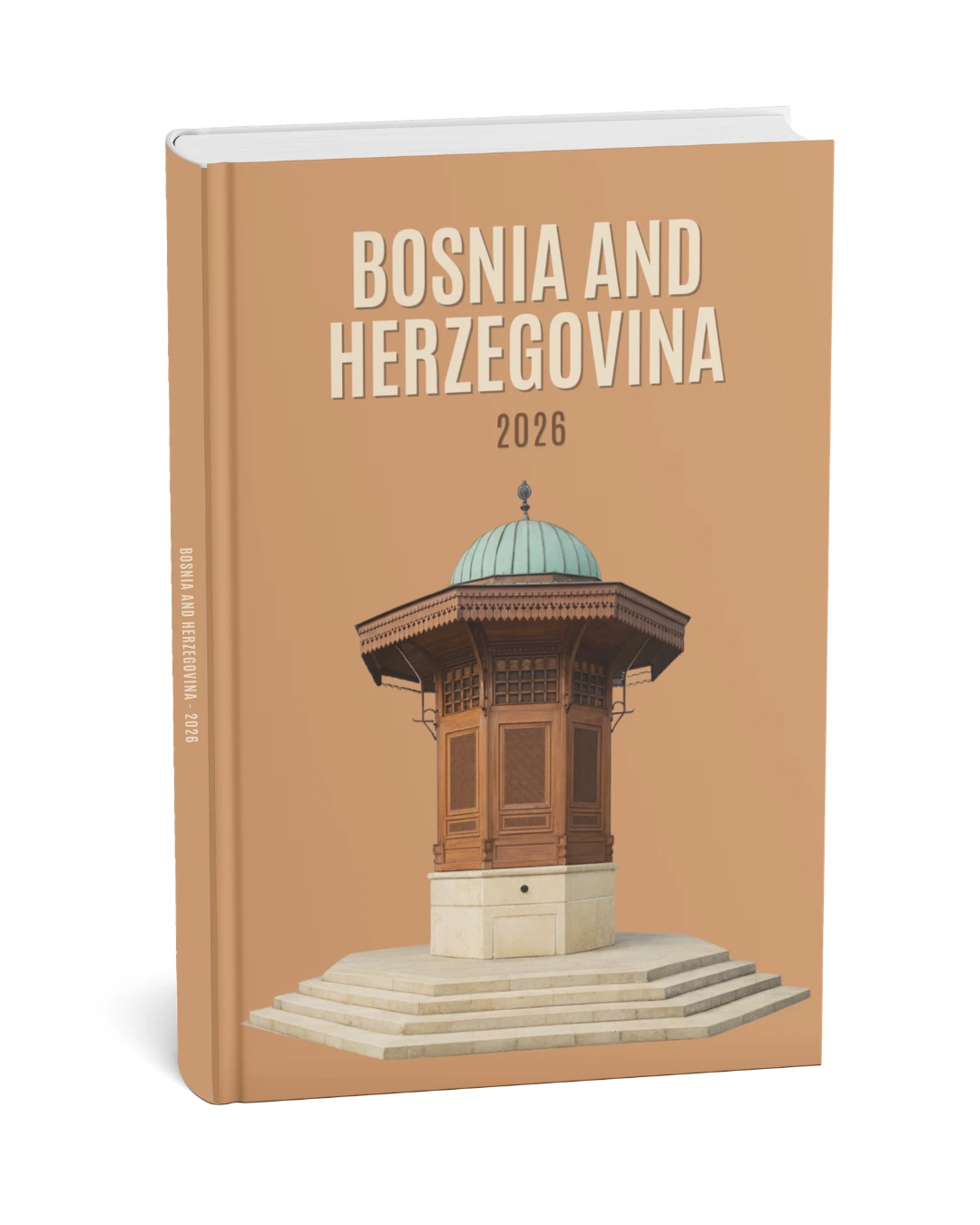 Bosna Hersek 1 kapak teması