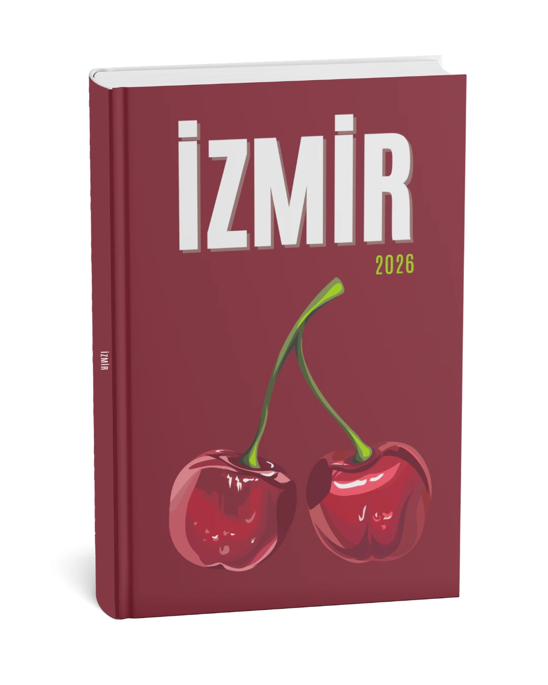 İzmir 2 kapak teması