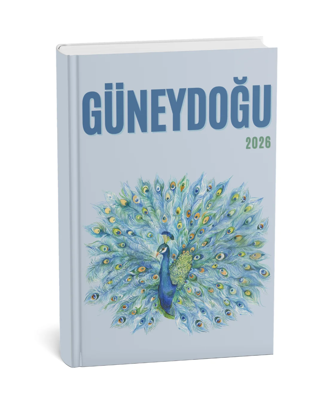 Güneydoğu 2 kapak teması