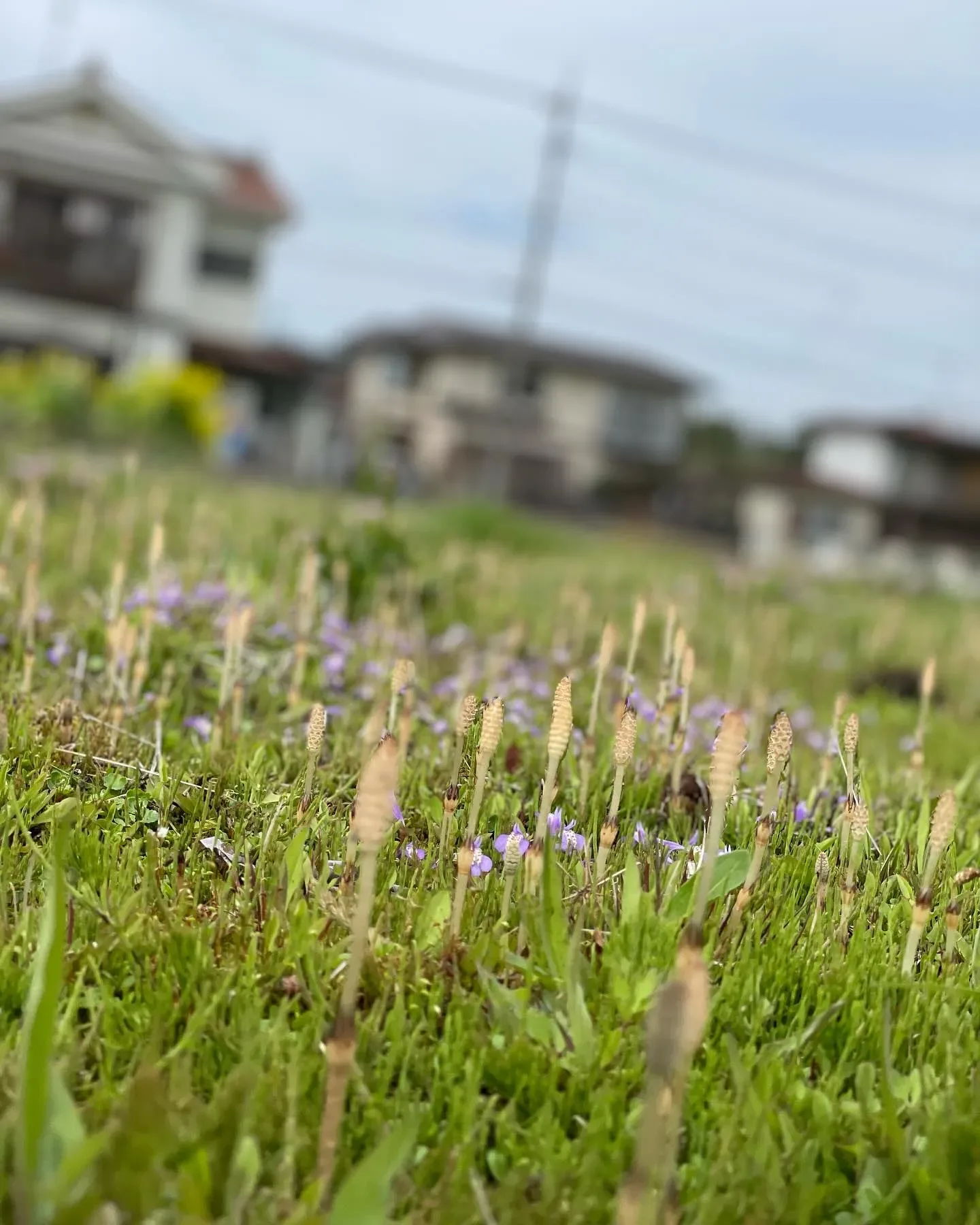 暖かい春の1日♩
