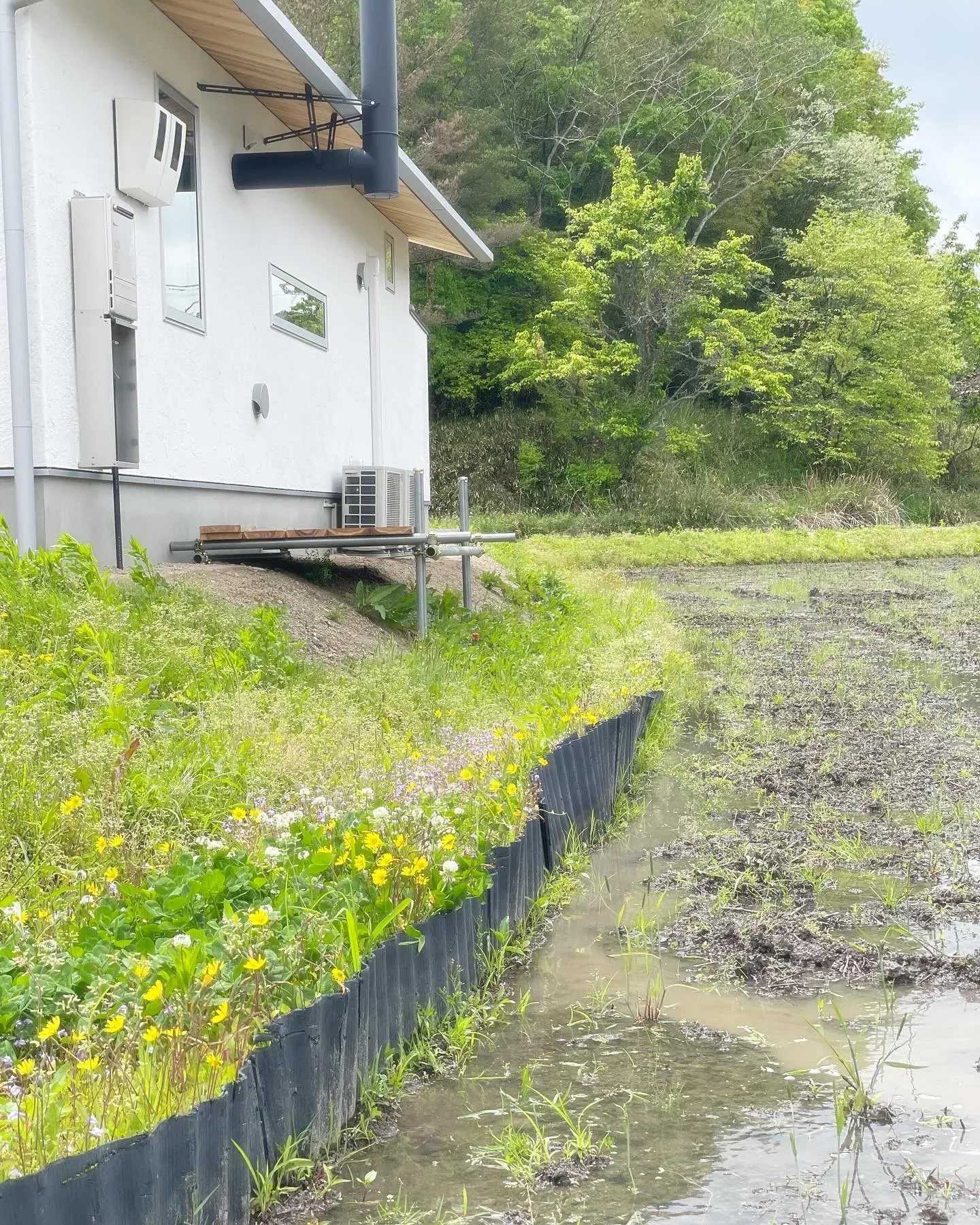 代掻き🚜➿ の写真 2