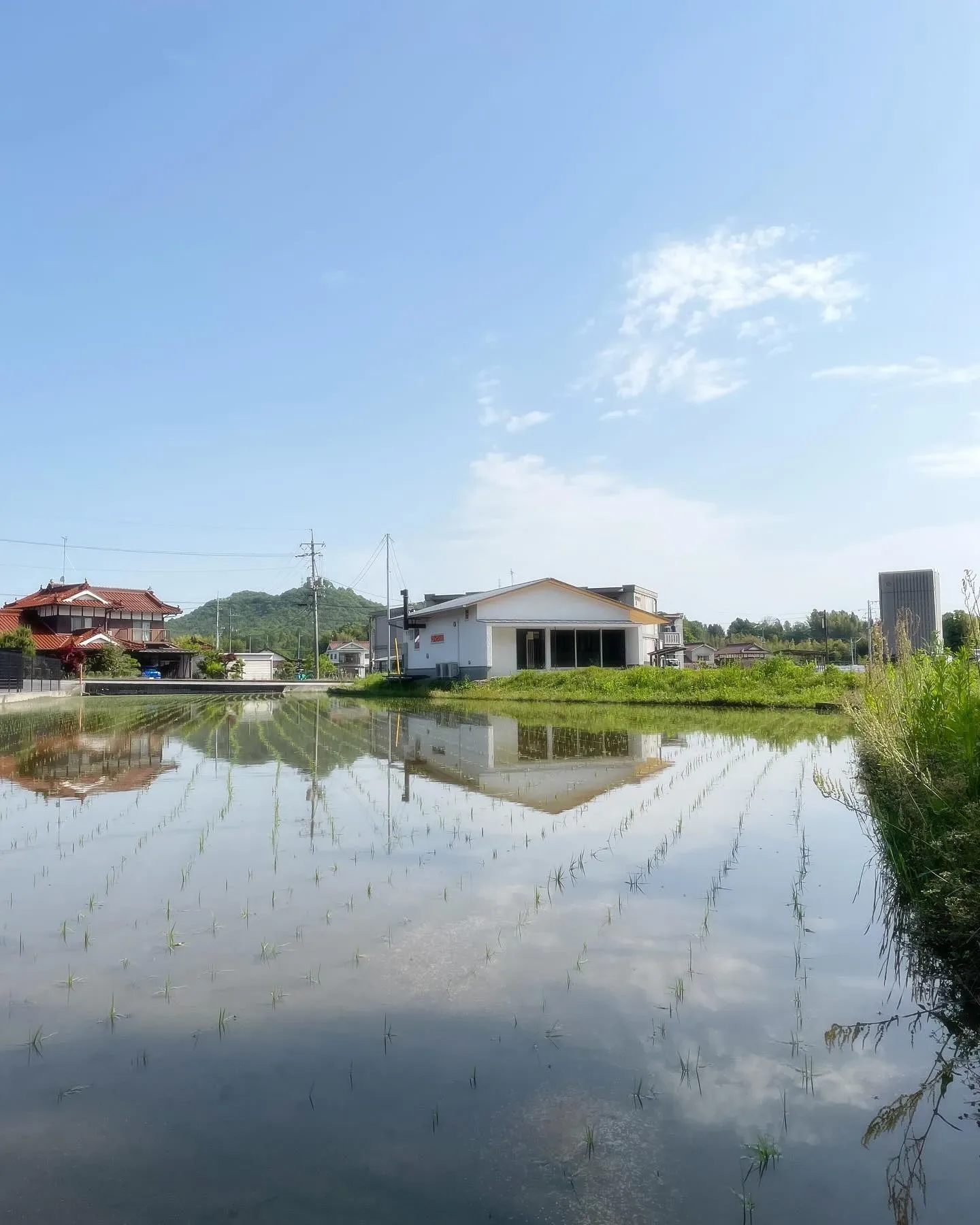 先週末