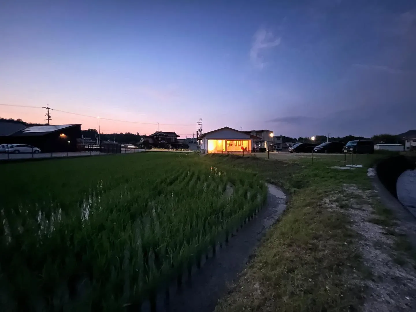 七夕🎋