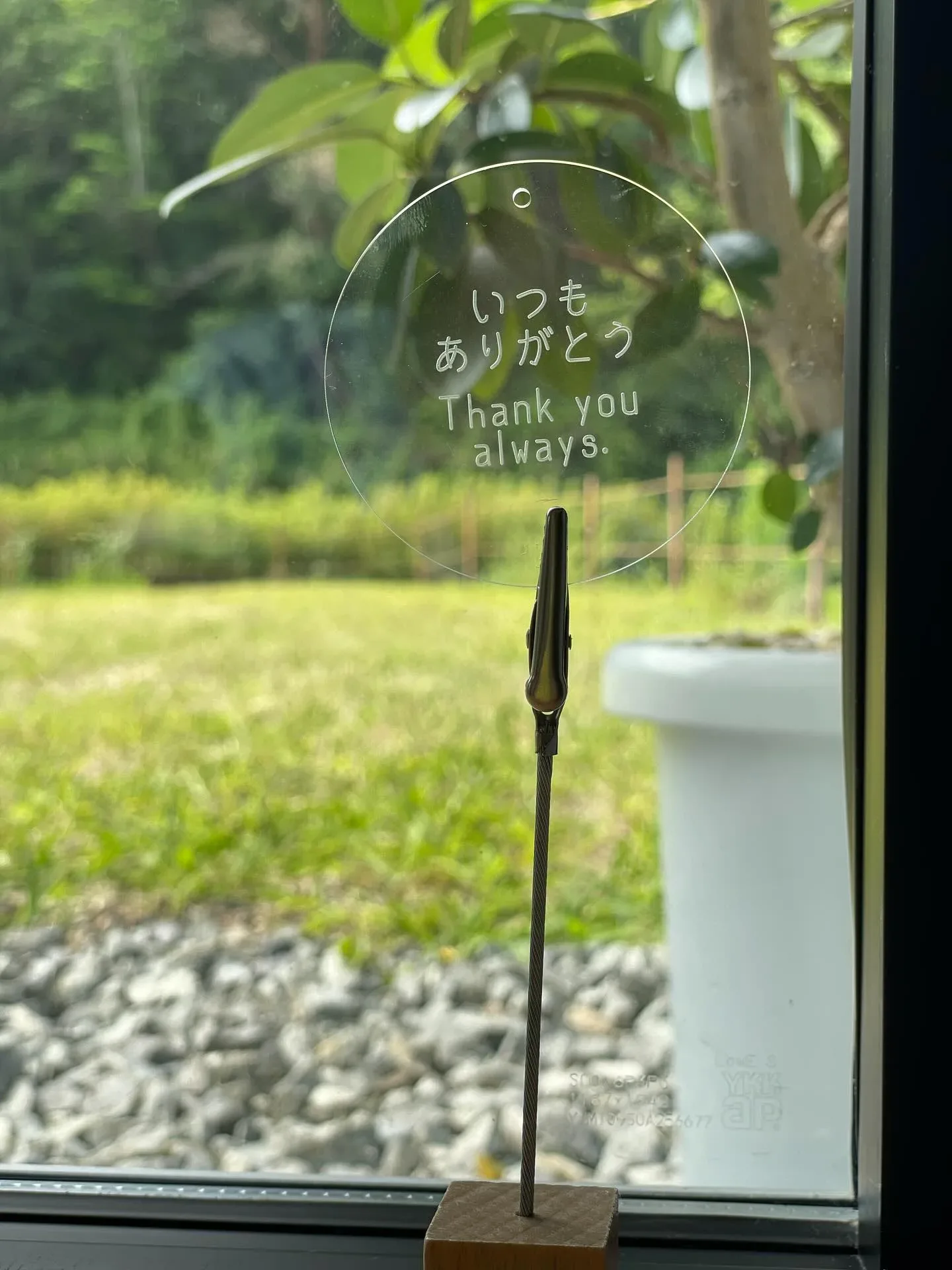 4 months🗓️ の写真 2
