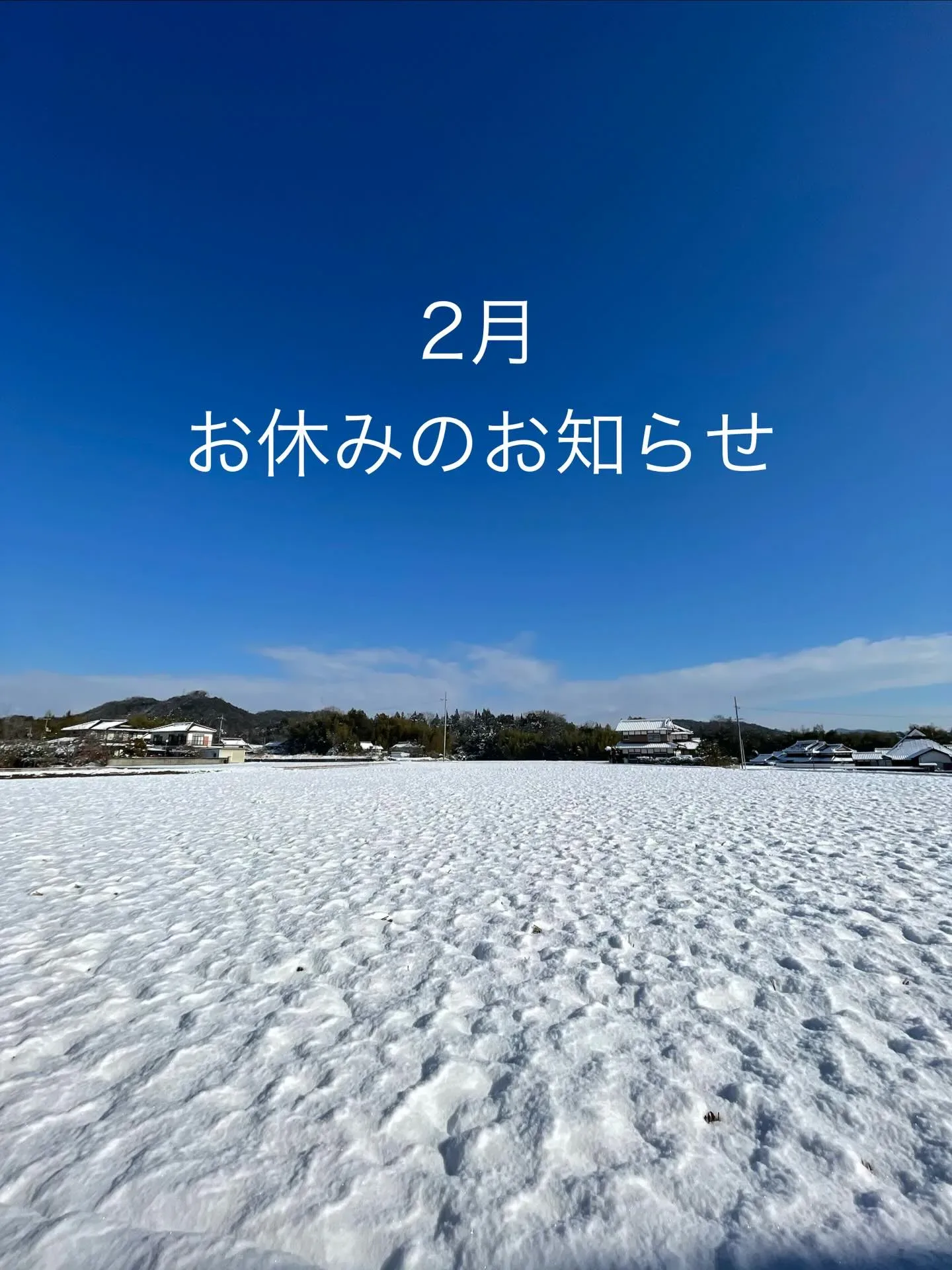 いつもありがとうございます🌿