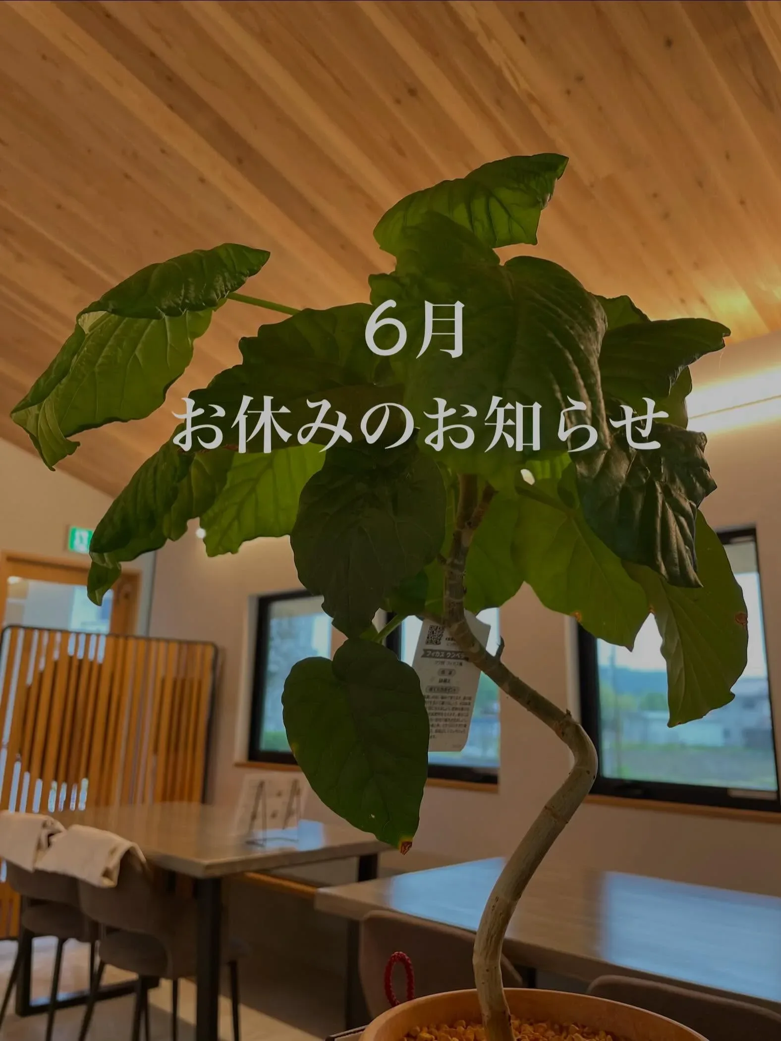 いつもありがとうございます🐌