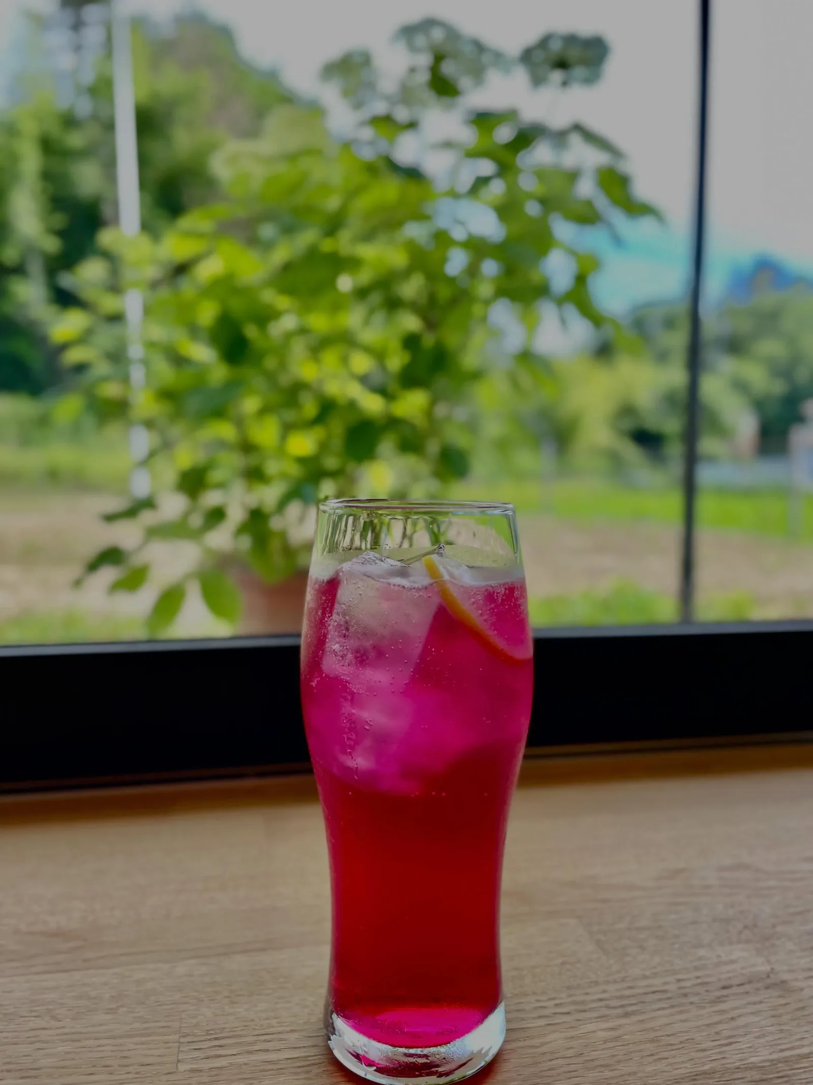 夏季限定 自家製ドリンク 始めました‼️