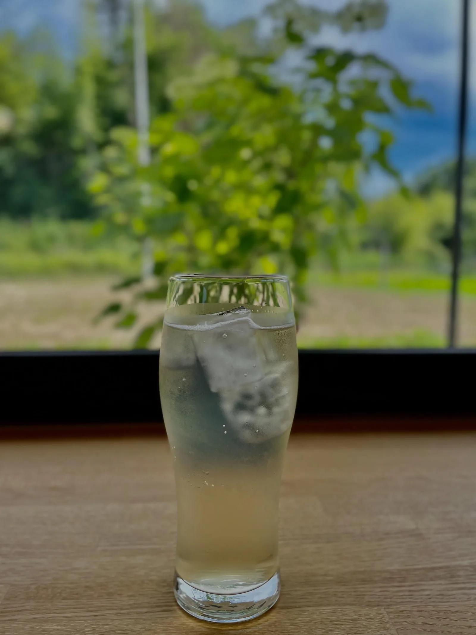 夏季限定 自家製ドリンク 始めました‼️