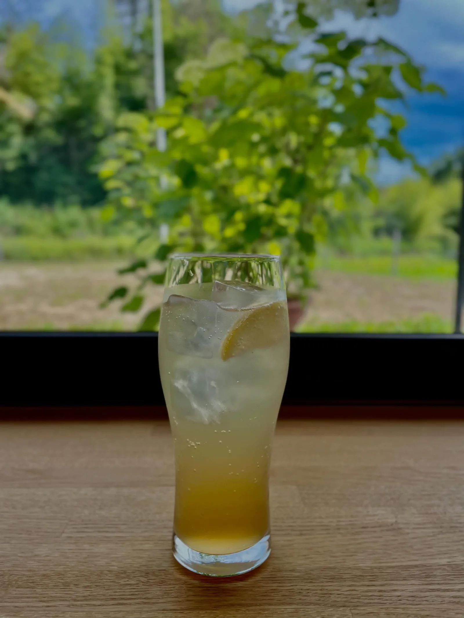 夏季限定 自家製ドリンク 始めました‼️