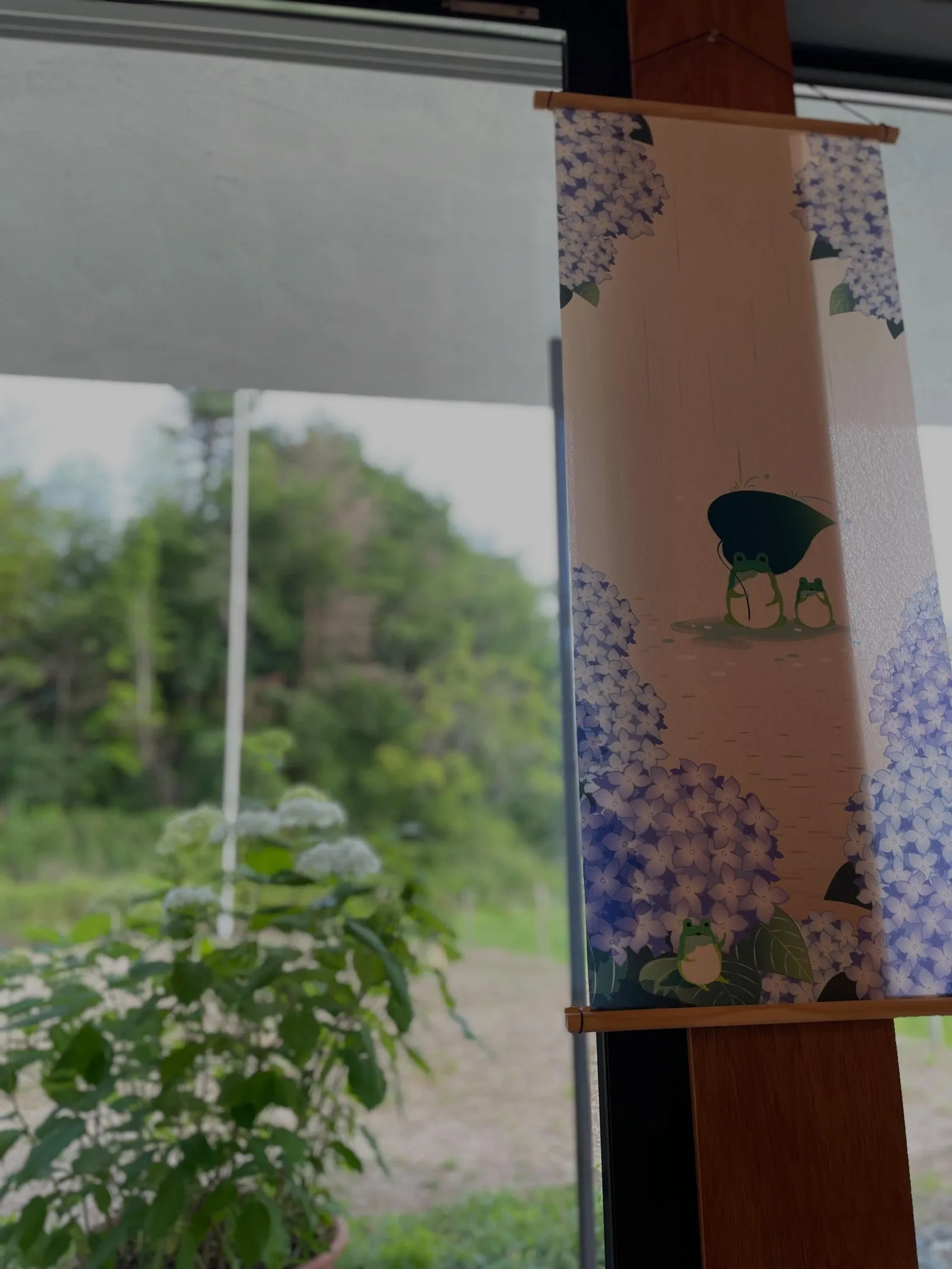 夏季限定 自家製ドリンク 始めました‼️ の写真 5