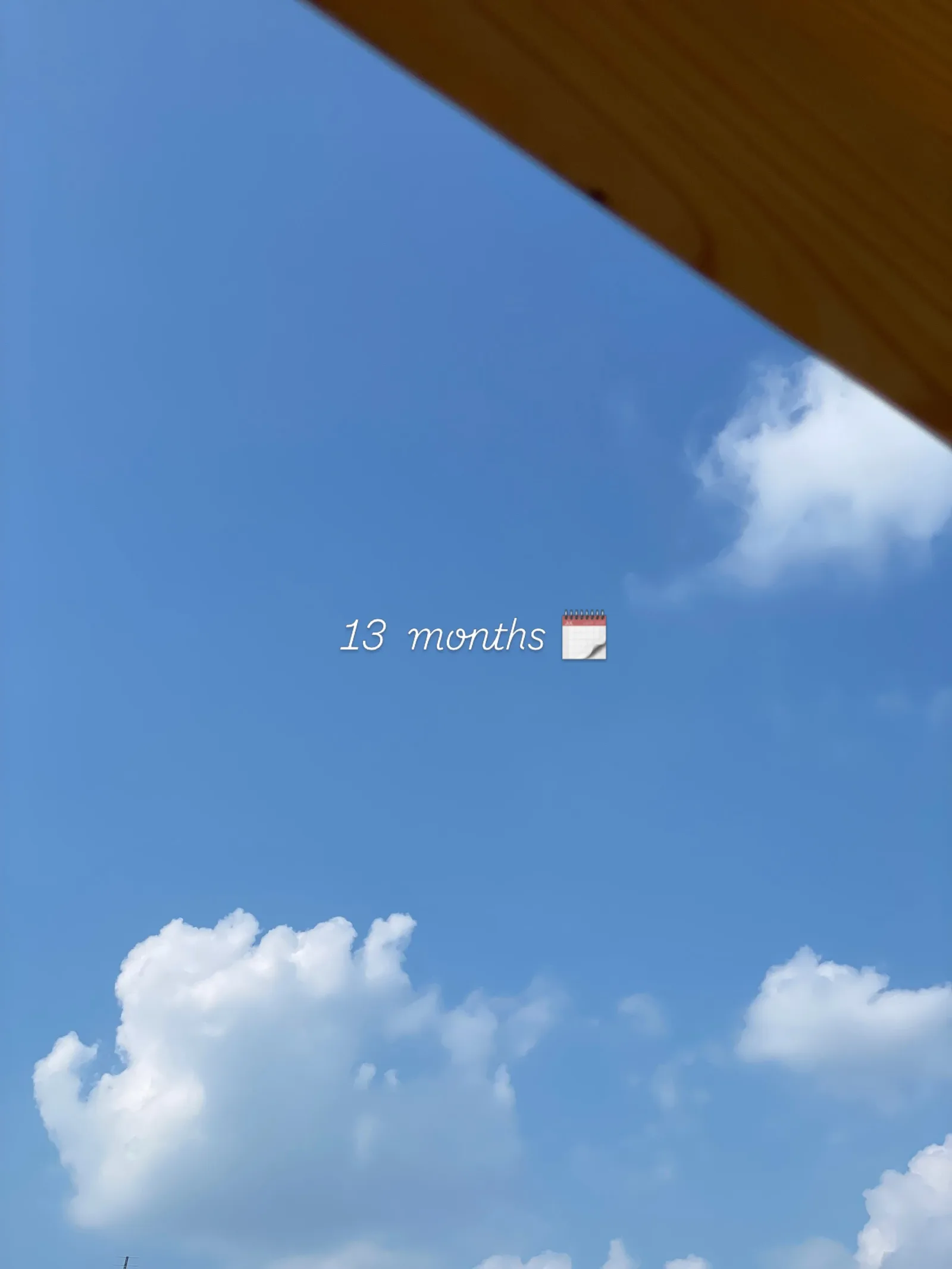 13 months 🗓️