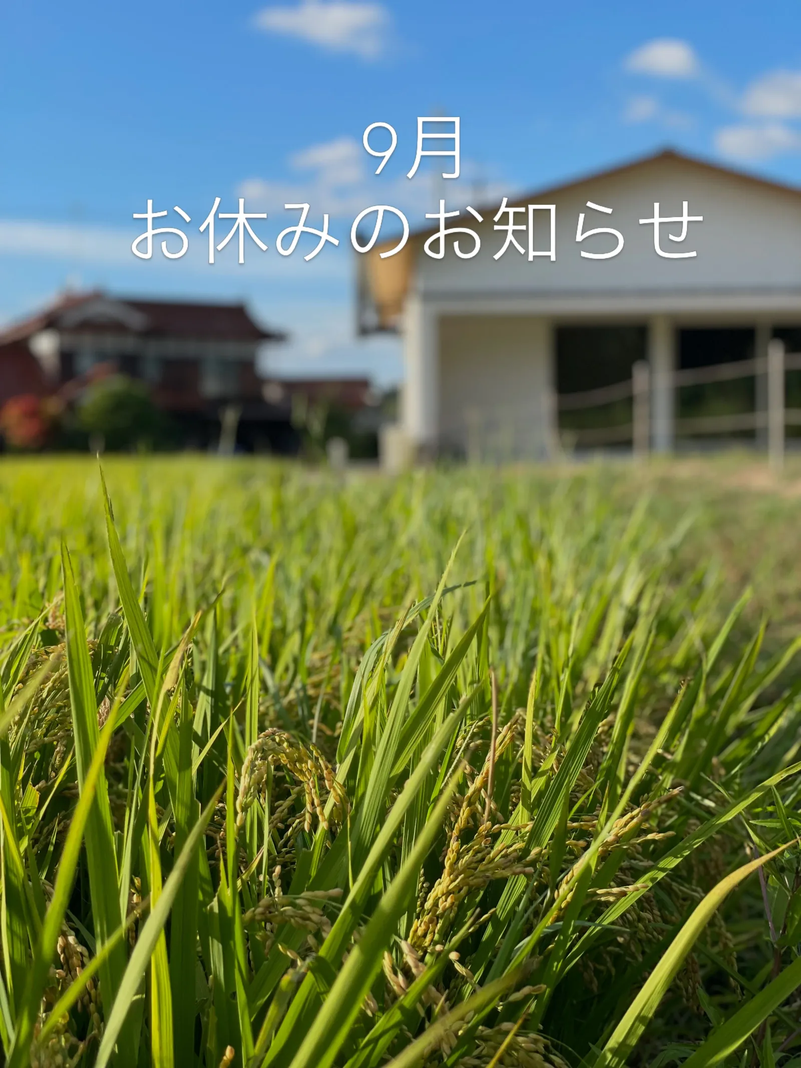 いつもありがとうございます🌿