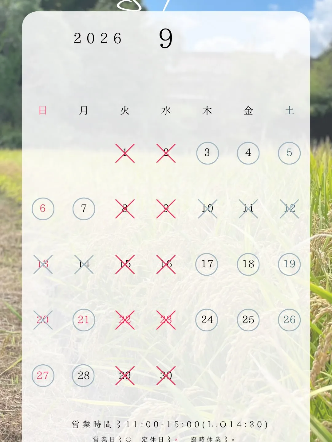 いつもありがとうございます🌿 の写真 2