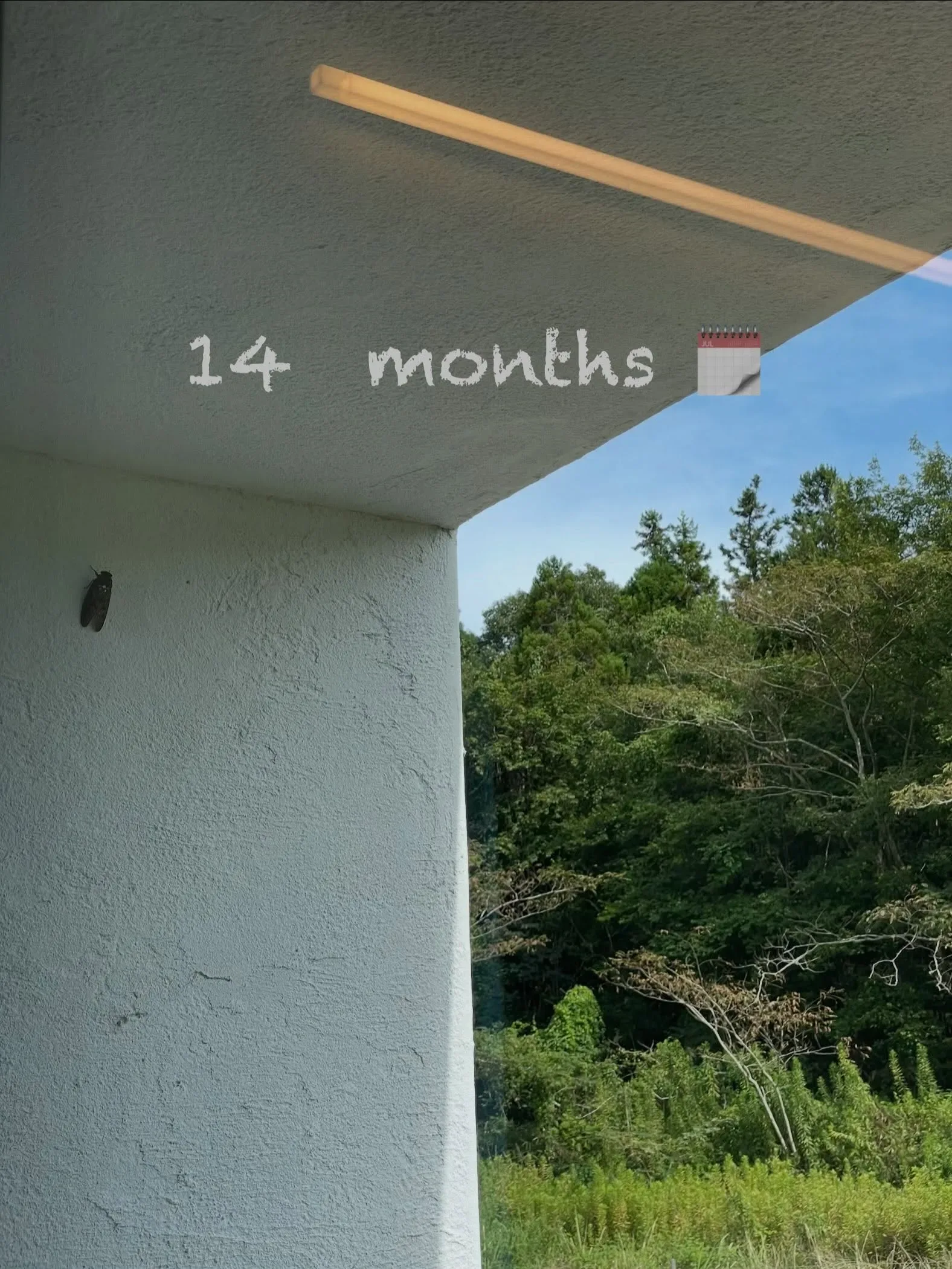 14 months 🗓️