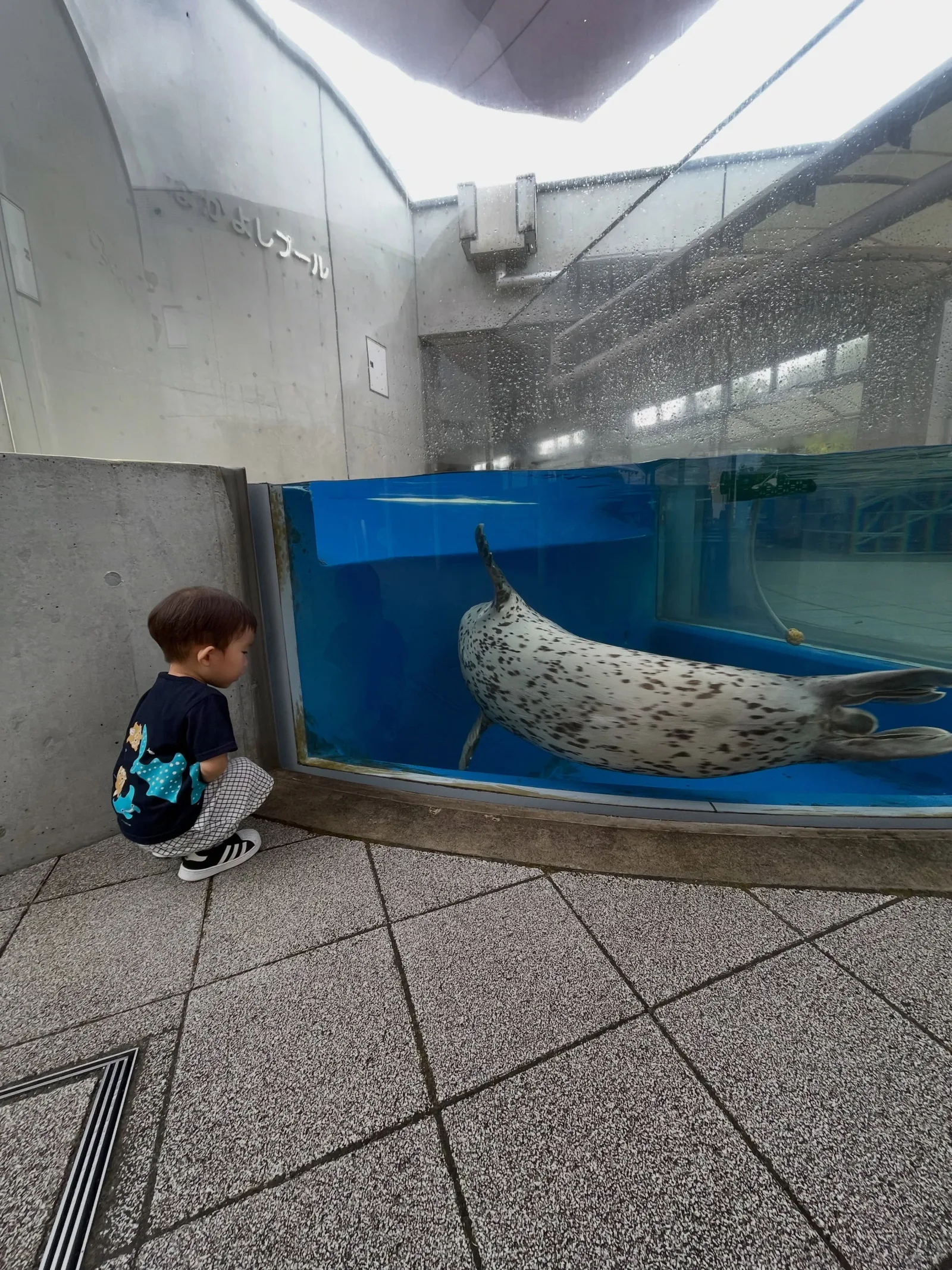 うれしい楽しい里帰り出産が今日でおしまい🥲 の写真 4