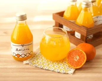 和歌山県産藤原農園蔵出しみかんしぼりジュース