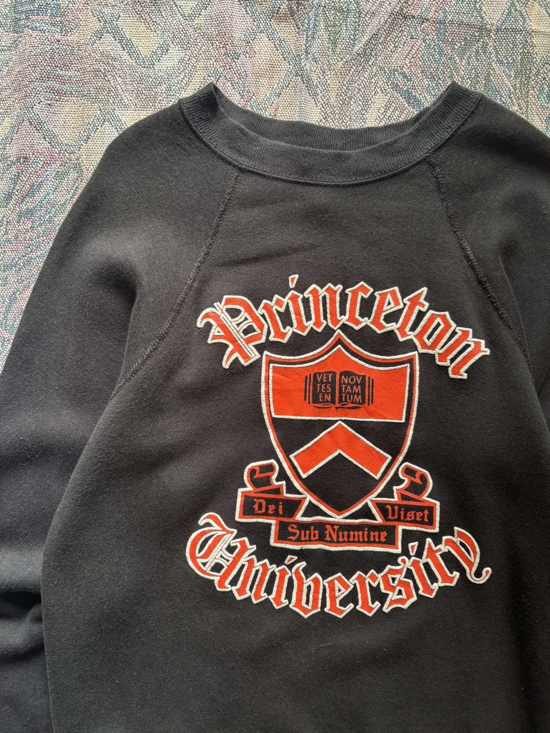 80s TULTEX プリンストン大学 カレッジプリントスウェット 3