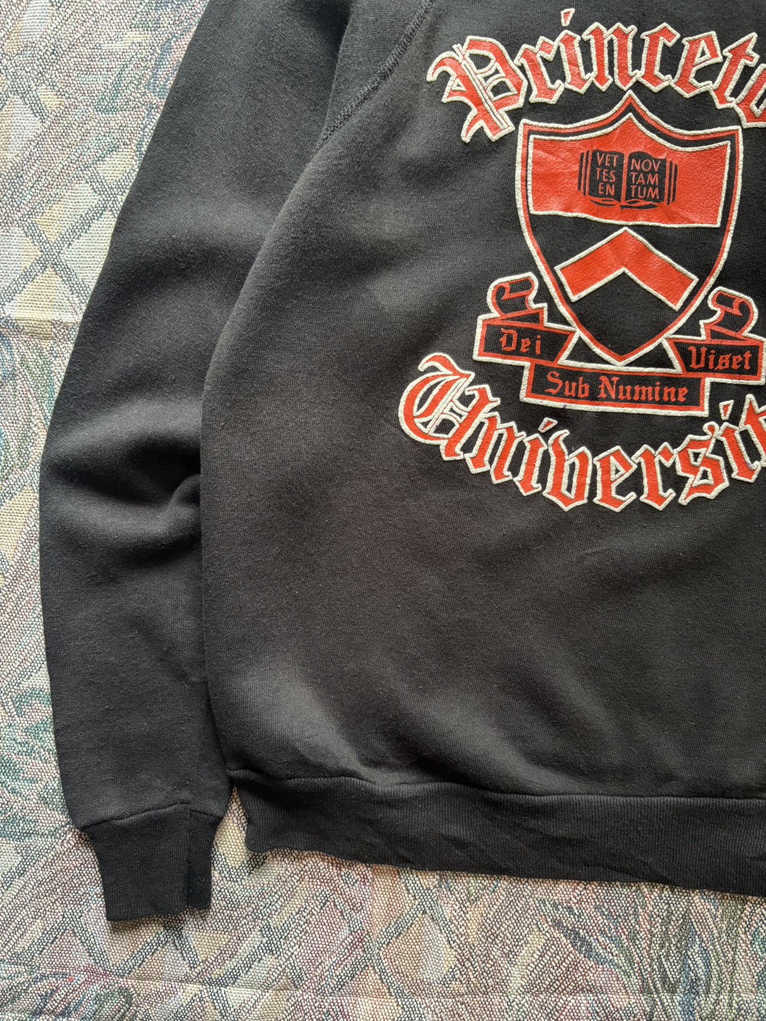 80s TULTEX プリンストン大学 カレッジプリントスウェット 5