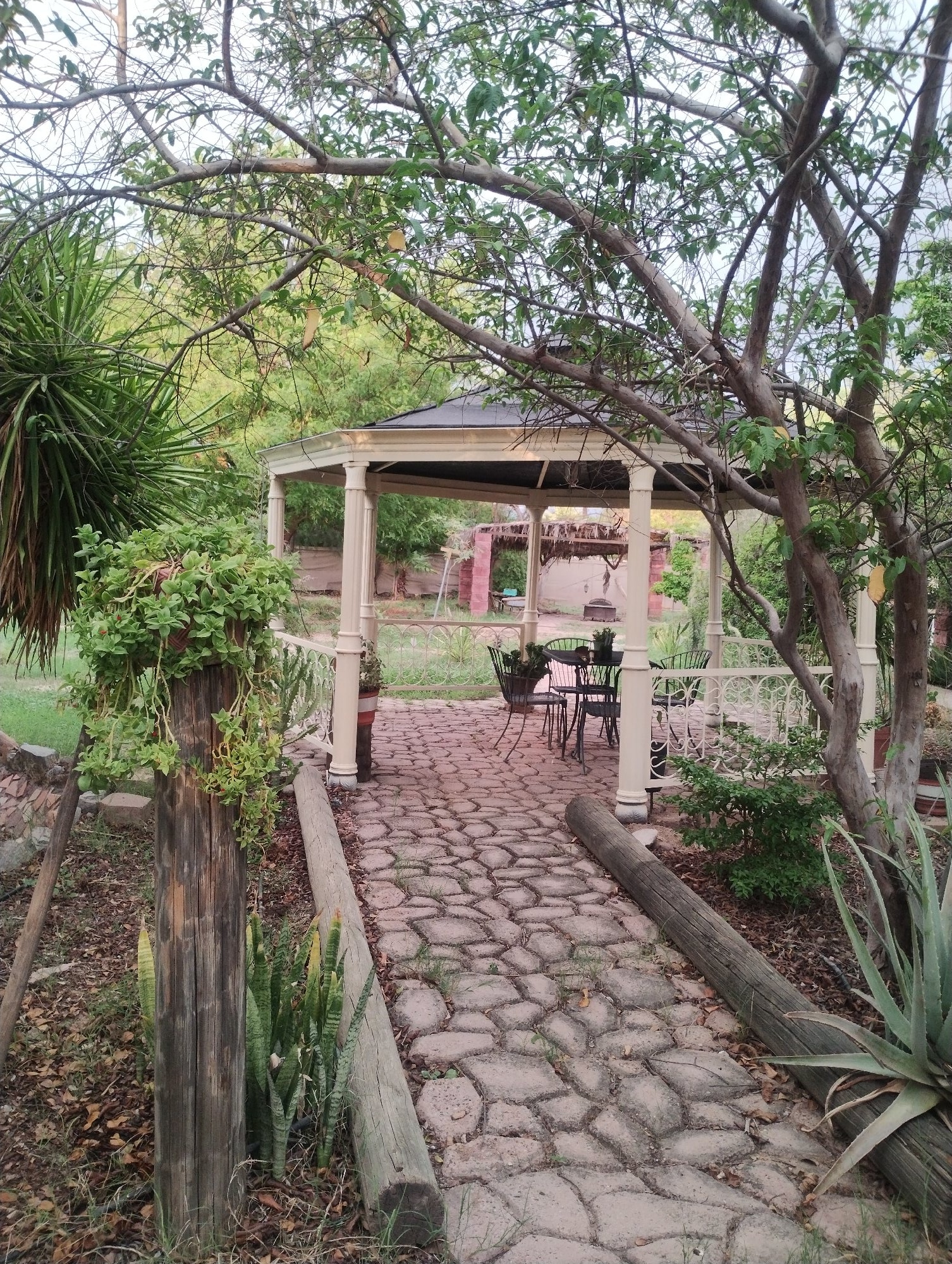 Jardín en San Pedro